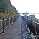 행주나루길 이미지