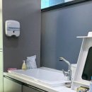 댕댕뷰티 이미지