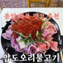 불고기오리 이미지