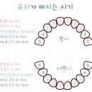 투유치과의원 이미지