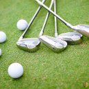 호도하우스 이미지