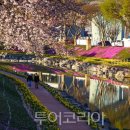 양지교통(주) 이미지