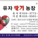 배바우농장 이미지