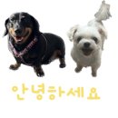 필아웃커피보정점 이미지