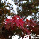 지리산풍경채2 이미지