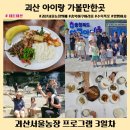 밝은농장 | 괴산서울농장 방문후기 3일차 프로그램 및 소감 후기