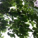 예지어린이집 이미지