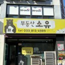 소유부동산공인중개사사무소 | [원주시 명륜동 부동산] 세이프홈즈 공식 파트너 &#39;소유공인중개사사무소&#39;