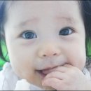 가람과일 Daum카페