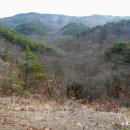 야산1 Daum카페