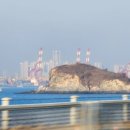 카멜리아펜션 이미지