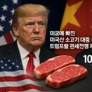 트럼프의 강경 통상정책, 美 소고기 산업 부메랑되나 이미지