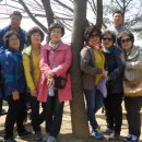 박창규2호 이미지