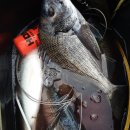 남해-318 이미지