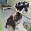 포항중앙동물병원 이미지