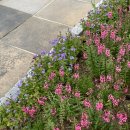 길성이 백숙 증평점 | 9월 2주간 미라클모닝 맛보기 일상(졸리지만 익숙해지는중)