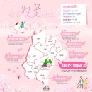 용담면 벚꽃길 이미지