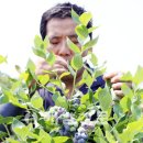 황산농장 이미지