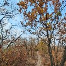 2021-주165 이미지