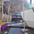 파인빌펜션 | 가평글램핑 분위기 좋고 편히 쉴수 있는 곳 파인포레스트 글램핑