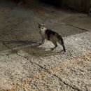 미니오락실 이미지