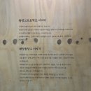 돌창고 | [내돈내산 카페 리뷰] 남해 &#39;돌창고프로젝트&#39; 방문 후기 (feat. 뚜벅이 여행)