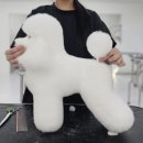 윈애견미용학원 이미지