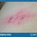 소화잘되는내과의원 이미지