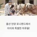 우리들 언양점 | 울산 언양 포니랜드 완전정복: 아이와 함께하는 힐링 체험 목장