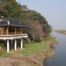 개나리길 이미지