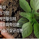 미자애견 이미지