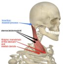 해인한의원 이미지