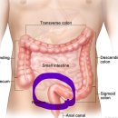 연세라이프내과의원 이미지