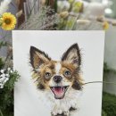 [고센의 정원] 오일파스텔로 그리는 따뜻한 자연의 순간 | 광교•영통•용인 반려동물 초상화 수업｜따뜻한 오일파스텔 그림 수원 취미미술 추천｜반려동물 초상화...