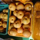 성립농장 이미지