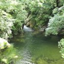 다리거리민박 이미지