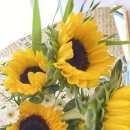 신월동234 이미지