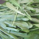 DB스파월드 이미지