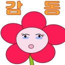 포레피아노음악학원 - 구리시 갈매순환로 5 | 포레피아노음악학원