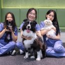 연성축산 이미지