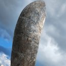 전주소리문화의 전당 모악당 지킬&amp;하이드 뮤지컬 관람 이미지