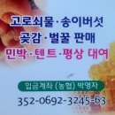 대포쉼터 화장실 네이버블로그