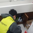 늘푸른 방역