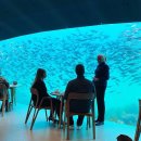 바닷속 5.5m에 있는 노르웨이의 ＜Under Restaurant＞ 인기폭발 이미지