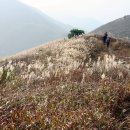 빼재민박 이미지