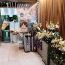 서초중앙로24길 18 이미지