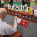 용천목장 이미지