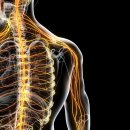 피트니센스 이미지