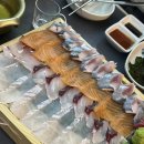 [종로 맛집] 해산물 맛집 :: 파랑해녀집 존맛 횟집 솔직후기