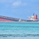 (주)모리셔스 이미지